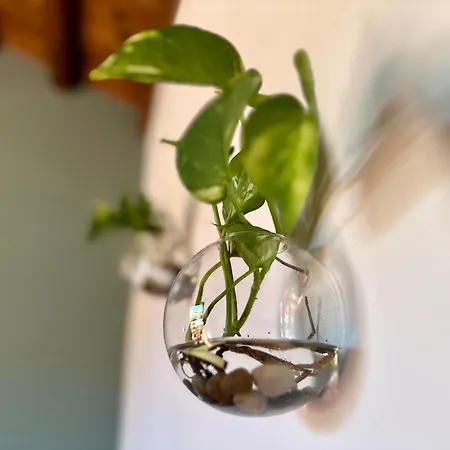 Thalea Appartamento *